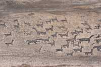 131 Géoglyphes (centtre)