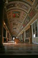 45 - Galerie de Diane (Henri IV) - Bibliothèque (Napoléon III).JPG