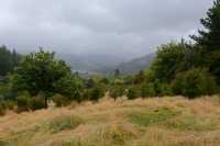 04 Péninsule de Banks