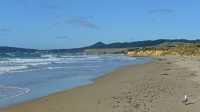 11 Plage au nord de Dunedin B