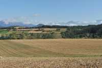 103 Entre Lalley & Treminis B