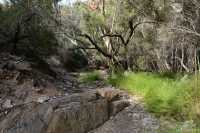 57 Standley Chasm (au pied de Larapinta Hill)