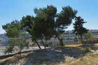 08 Vue de Jérusalem