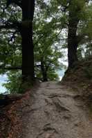 100 Queen Charlotte Sound - Anakiwa B