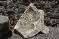 39 Décor sculpté de la synagogue - Coquille saint Jacques