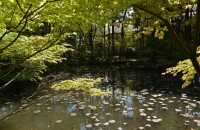 53 Temple Nanzen-ji (Jardin)