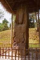 181 Quirigua stèle