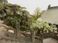 02 Monastère  Jie Tai