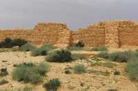 20 Camp de l'armée romaine - Enceinte et tour