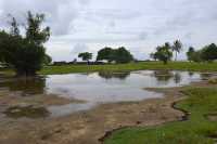 117 Marae Hauviri (Taputapuatea)