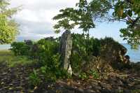 094 Marae Hititai (Taputapuatea)