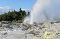 175 Pohutu (Geyser constant) Te Puta