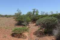 02 Près de Meteorite Craters