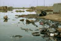 220 Village entre Ur et Lagash