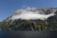132 Milford Sound