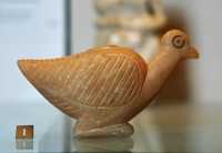 042 - Oie - 3300-3100