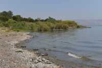 98 Le rivage du lac à Capharnaüm