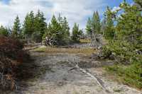 48 Lower Geyser Basin