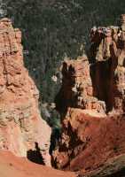 65 Ponderosa (2900 m)