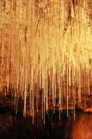 029 Grotte de Choranche