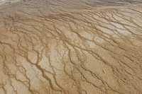 37 Grand Prismatic Spring