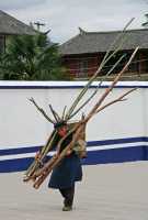 60 Femme portant des arbres