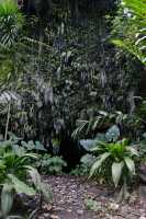 038 Grotte Mata Va'a