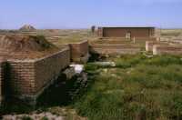 544 Nimroud - Temple de Nabu