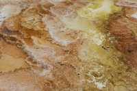 31 Mammoth Hot Spring Terraces