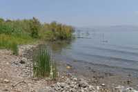 99 Le rivage du lac à Capharnaüm