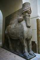 39 - Taureau androcéphale