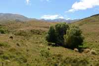 46 Autour de Dead Horse Pinch  B