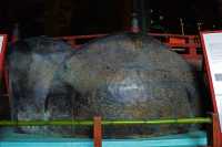 052 Pétale de lotus du grand Buddha