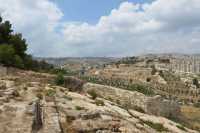 57 Le champ des bergers