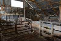 32 Quailburn Woolshed (Benmore Run, Ahuriri Park)