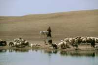 747 Berger à l'est d'Hatra