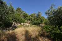 37 Ein-Karim (Près du monastère russe)