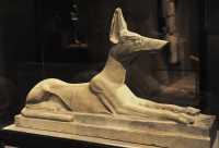 075 Anubis