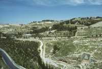 177 Vallée du Cédron