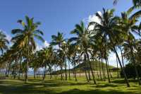 55 Palmeraie, Ahu & restes du village (Aldea Manga Hauepa)