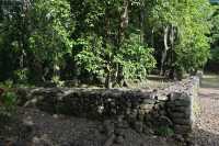 38 Marae Titiroa (Vallée d'Opunohu)