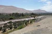 58 Vallée de Azapa vue de la Pukara San Lorenzo