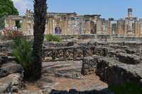 02 Habitations & synagogue de Capharnaüm