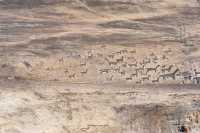 124 Géoglyphes (gauche)