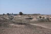 316 Babylone, E-Sagil et Amrân-Ibn-Ali