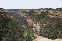 005 Mesa verde - Canyon