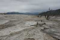 28 Mammoth Hot Spring Terraces