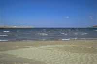 285 Fond de Mellieha Bay