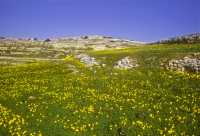 301 Près de St Paul's Bay