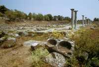 282 Forum (sous Marc Aurèle)